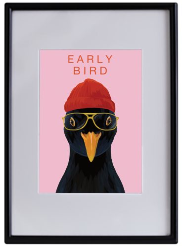 Early Bird