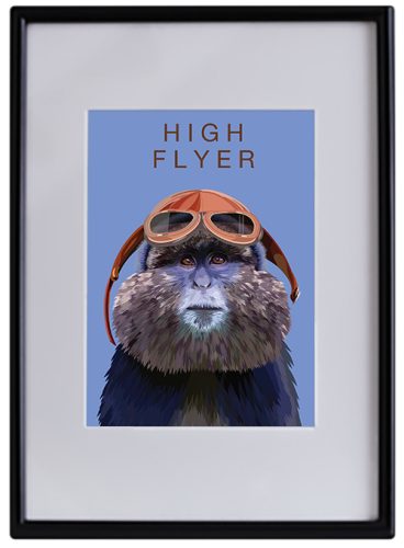 High Flyer